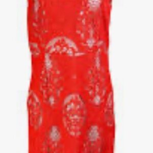 XS Gianni Bini crochet dress